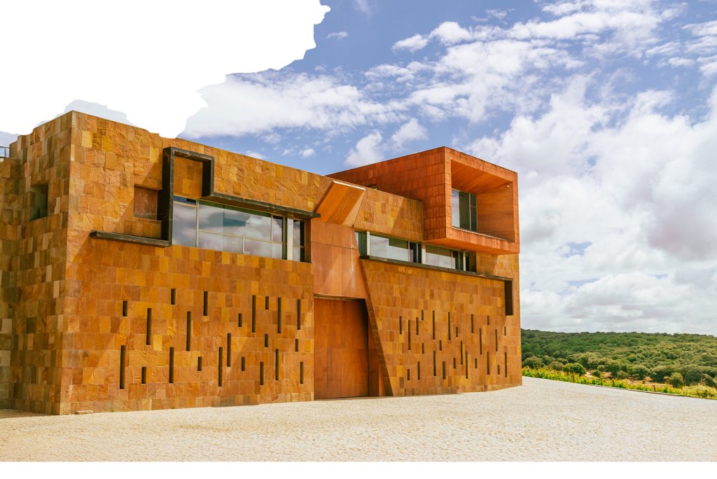 Mejor época para visitar una bodega: guía para amantes del vino